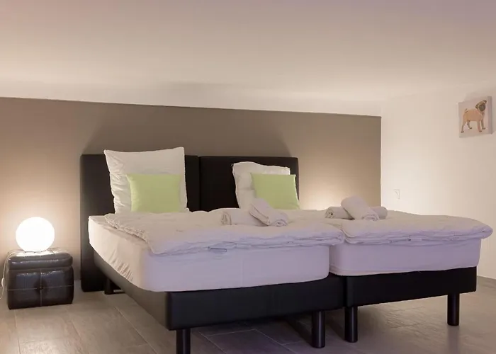 Duplex Saint-Henry By Halldis