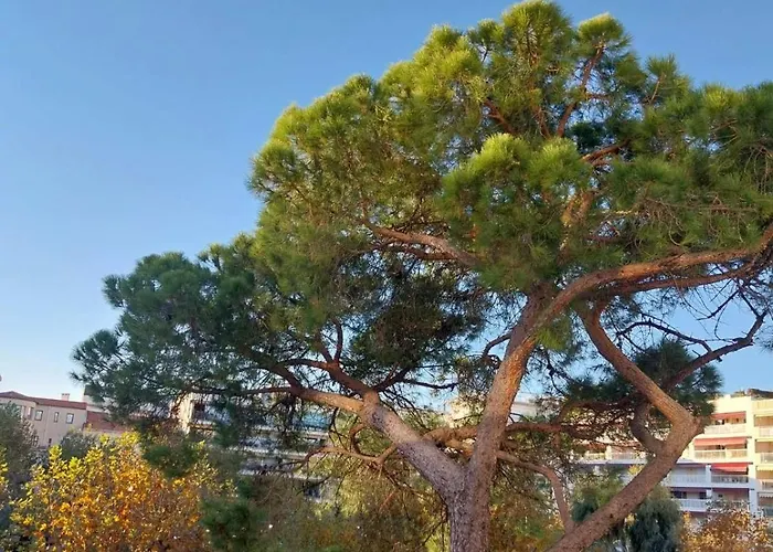 Palm Beach Cannes La Brise