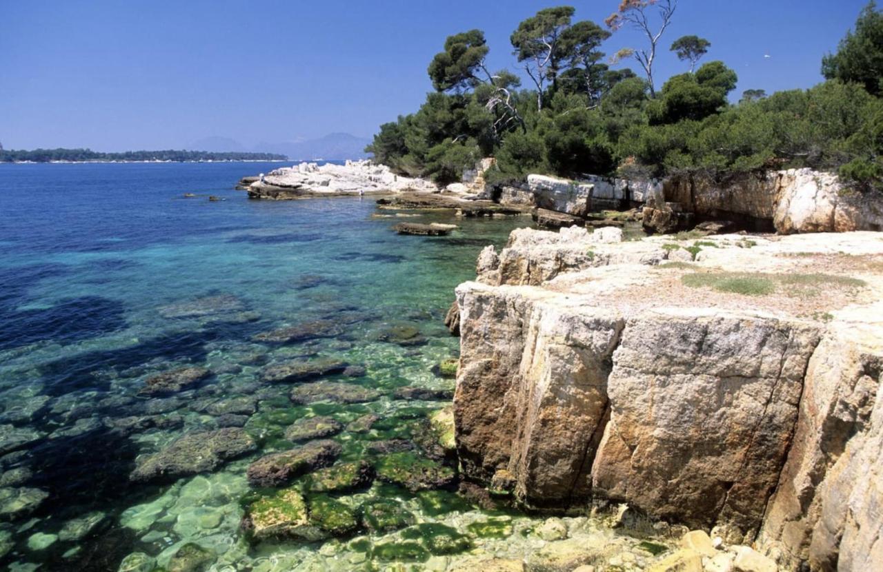 Heavnstay Centre I Apartment Cannes