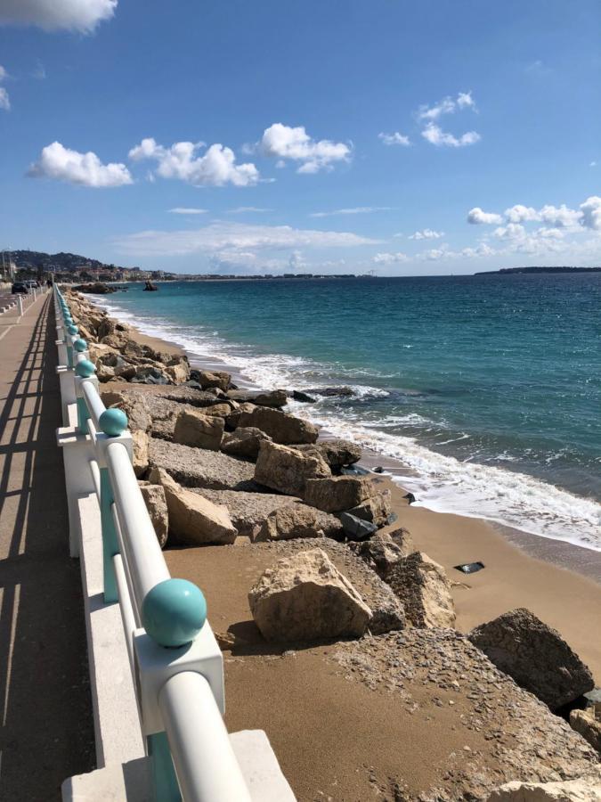 Orion Cannes