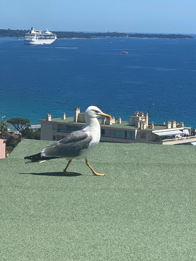 Appartement Cannes, Magnifique T2 Vue Mer, Piscine, Garage Cannes