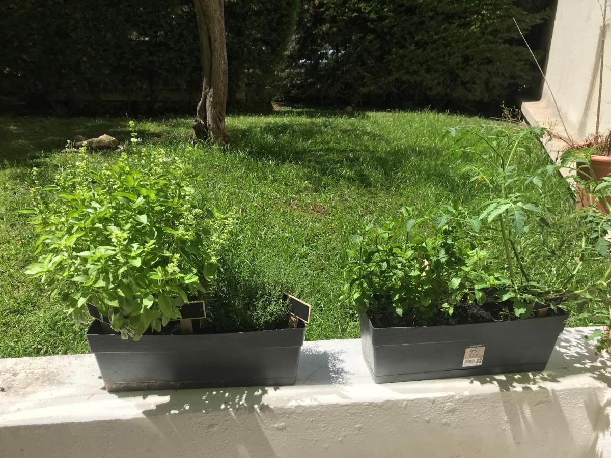 Apartment Superbe Studio Terrasse Centre Et Plages A Pieds Cannes
