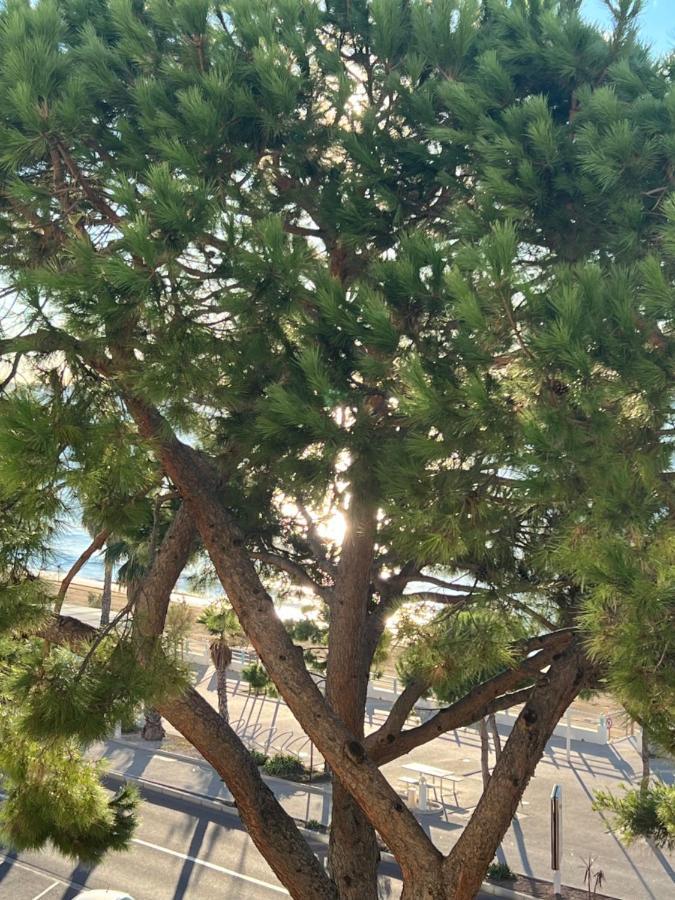 Paradisiaques, Boccacabana, Appartement *
