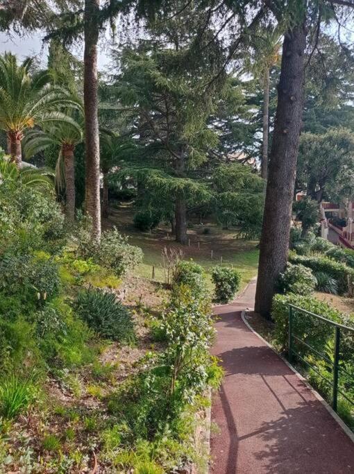 Magnifique Studio Apartment Cannes