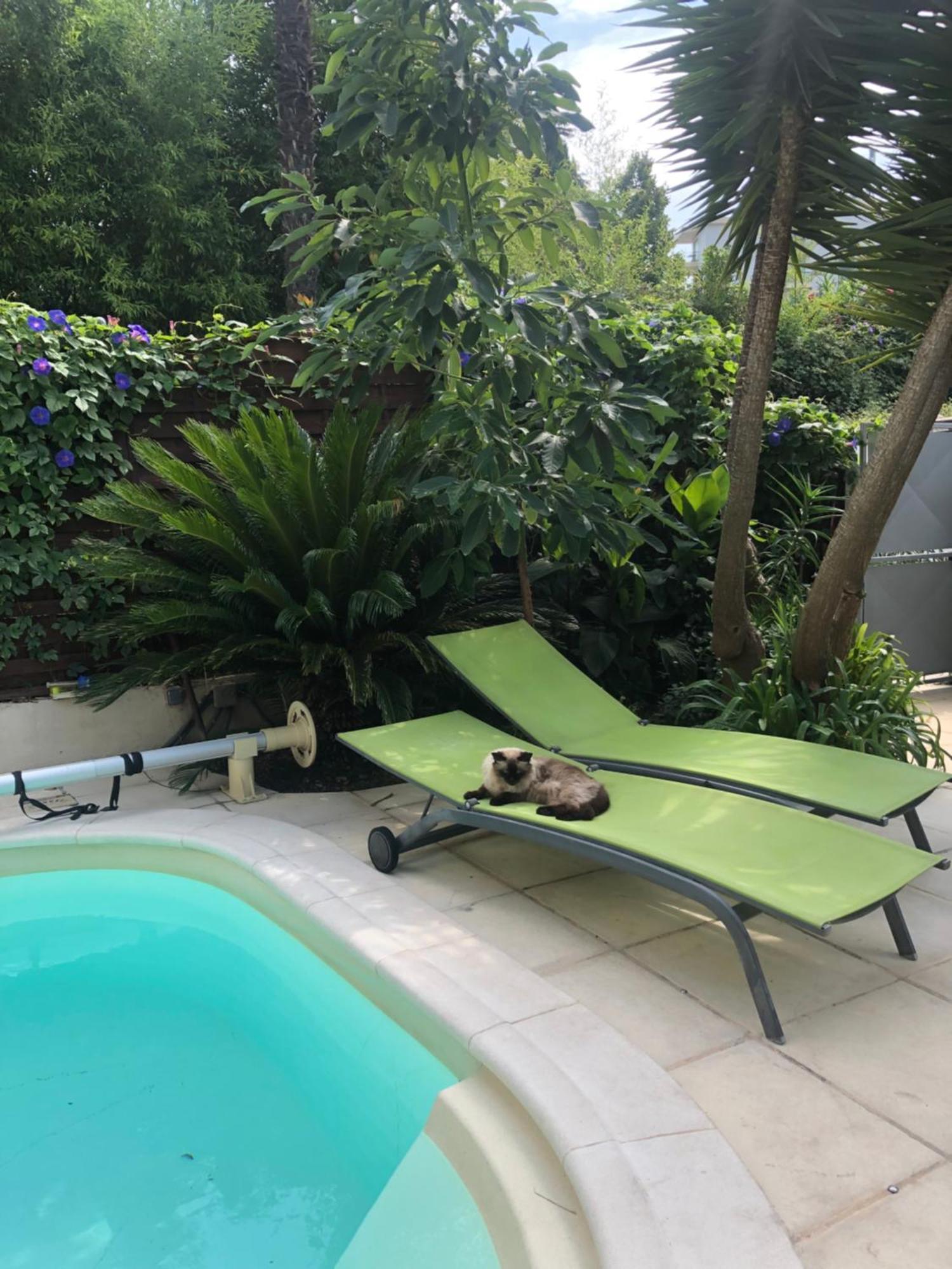 Homestay Beausejour