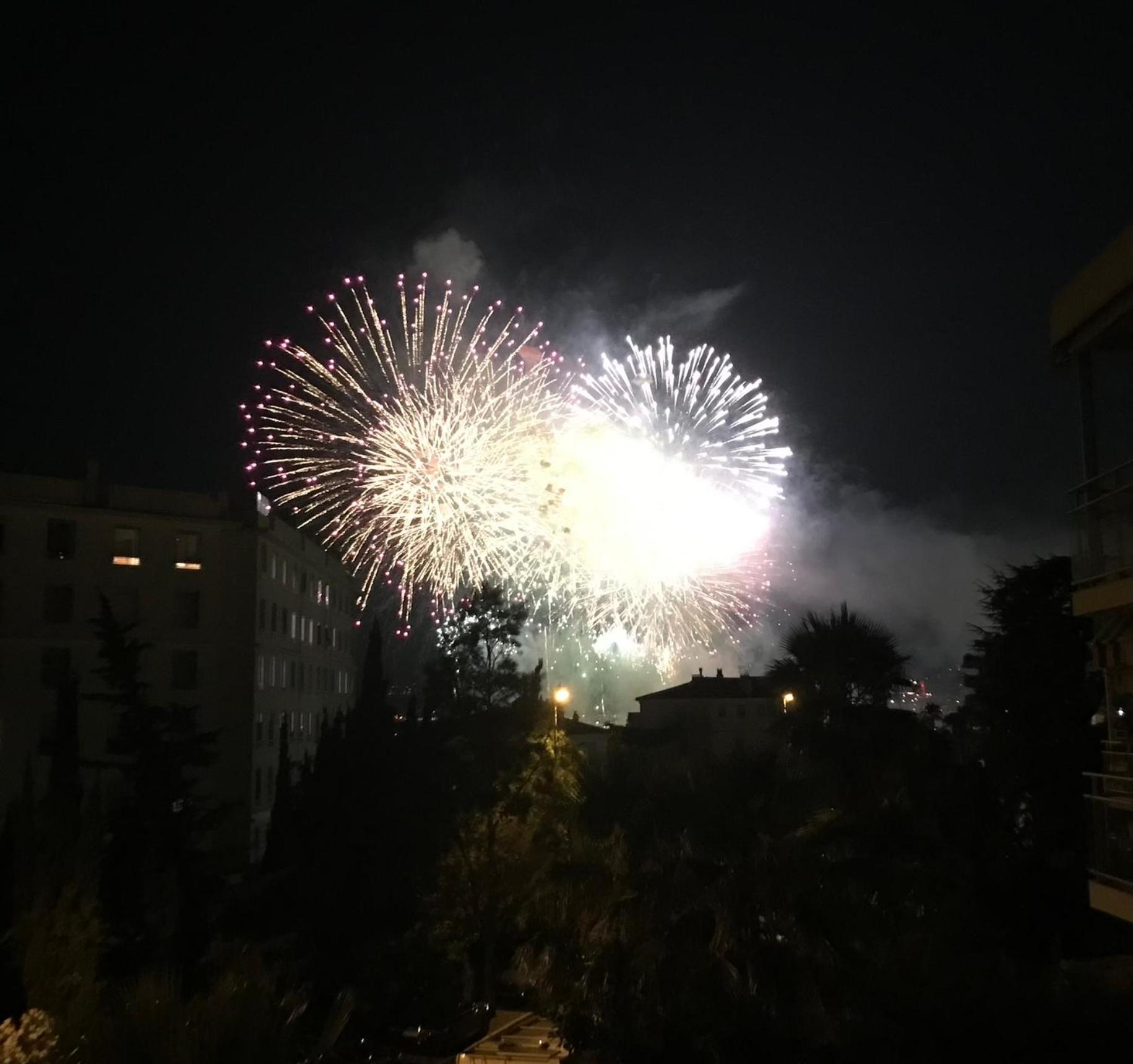 Mimosa Croisette * Cannes