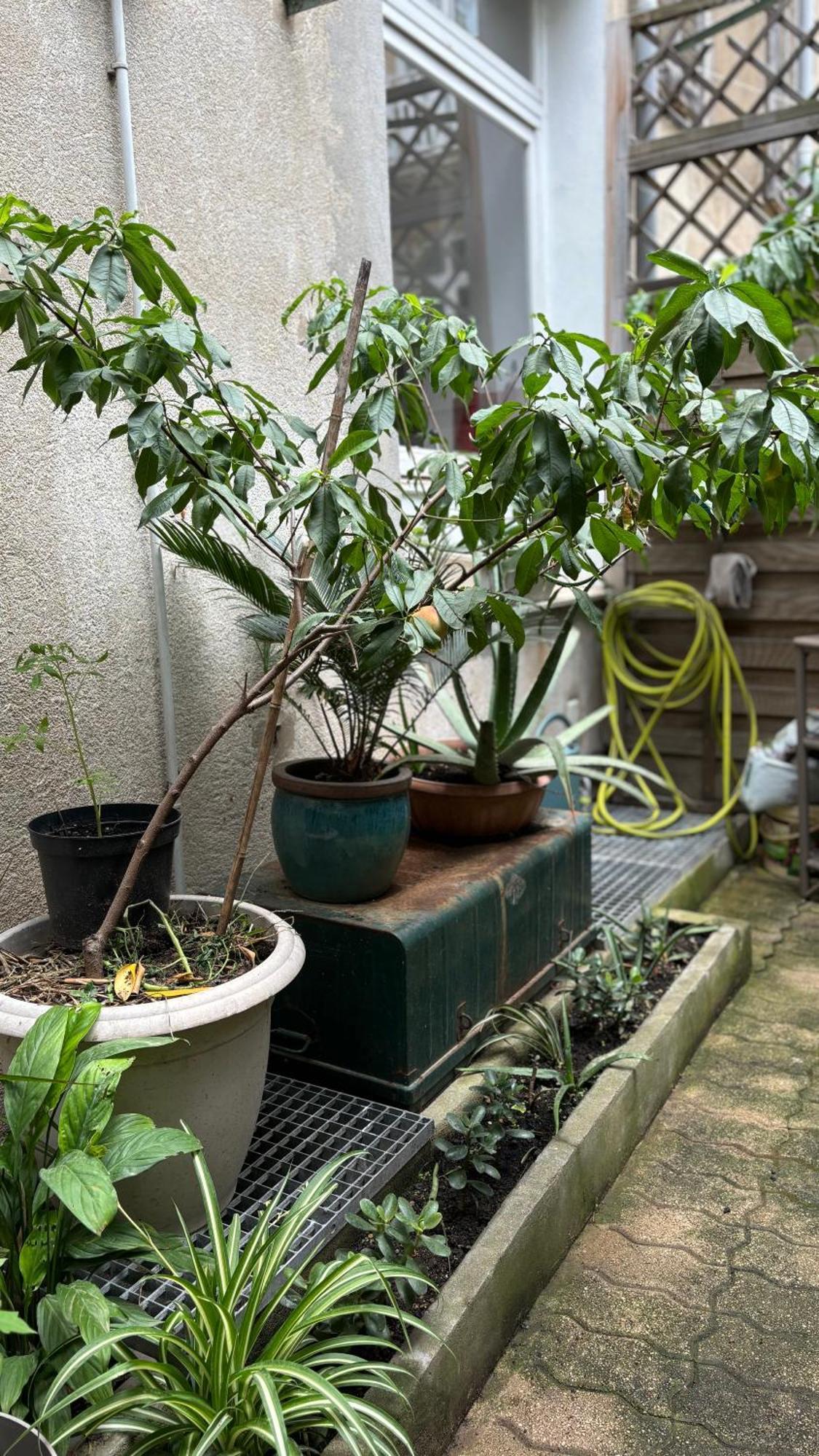 Apartamento - Proche Croisette Avec Jardin *
