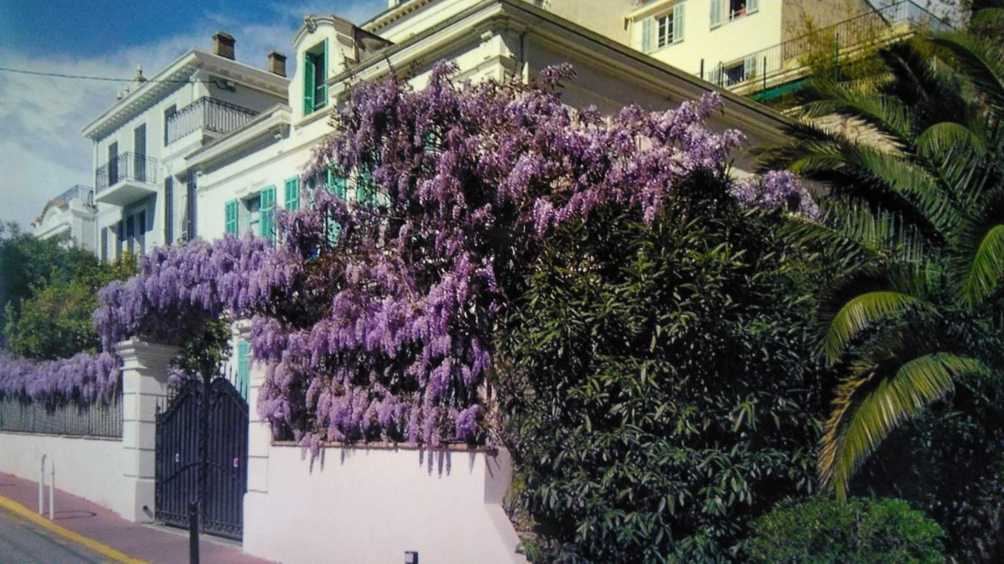 Casa de hóspedes Festival