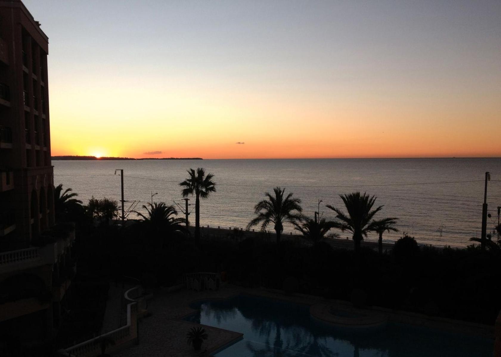 La Palme D'azur * Cannes