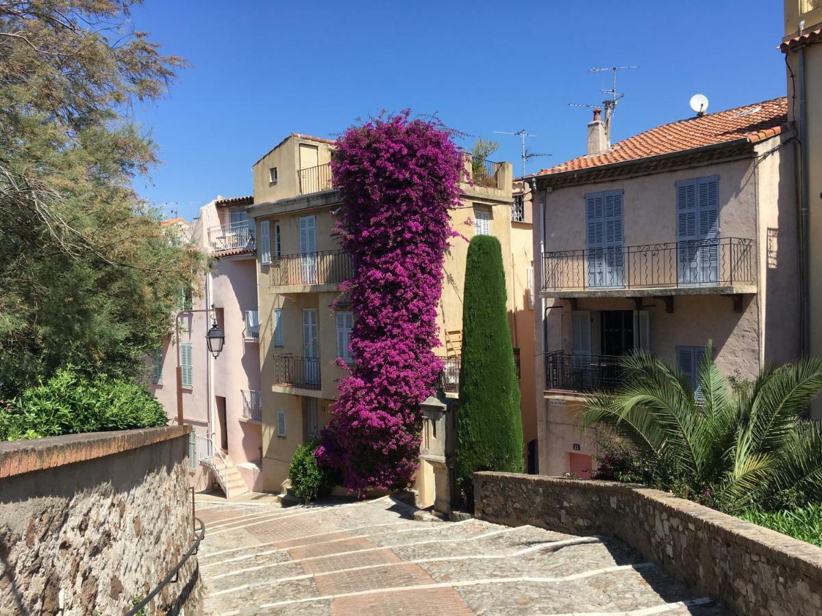 Appartement Le Suquet Proche Croisette