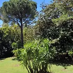 Cannes Cannes Serie , Central Beau 2 Pieces 50 M2 Plus Terrasse A 12 Min Plages Et Palais