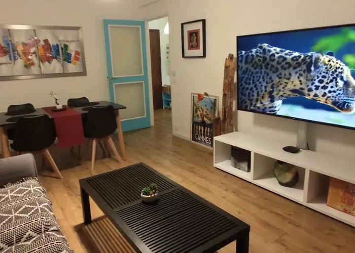 Apartment 50M From Historic Town 5Min Beach Palais Croisette - Free Private Parking