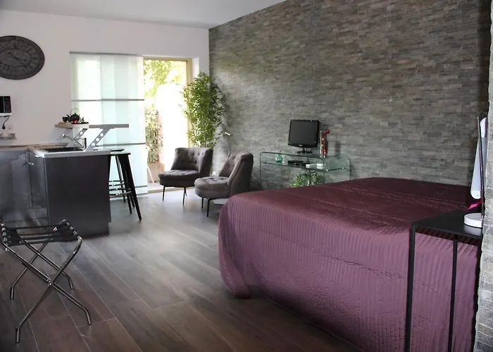 Cannes Luxueux Studio Centre