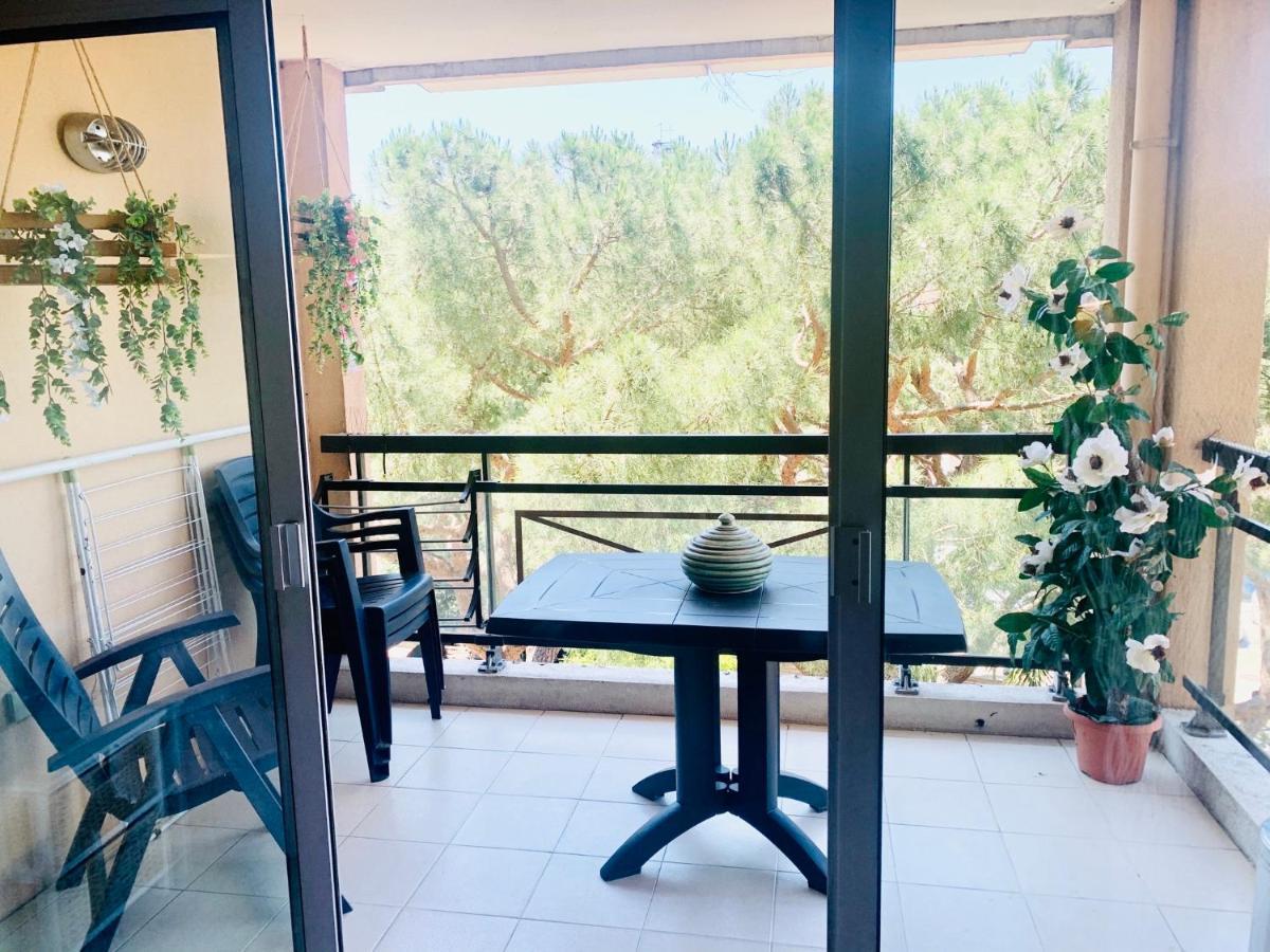 Joli Cozy Appartement, Apercu Mer, Piscine, Gardien
