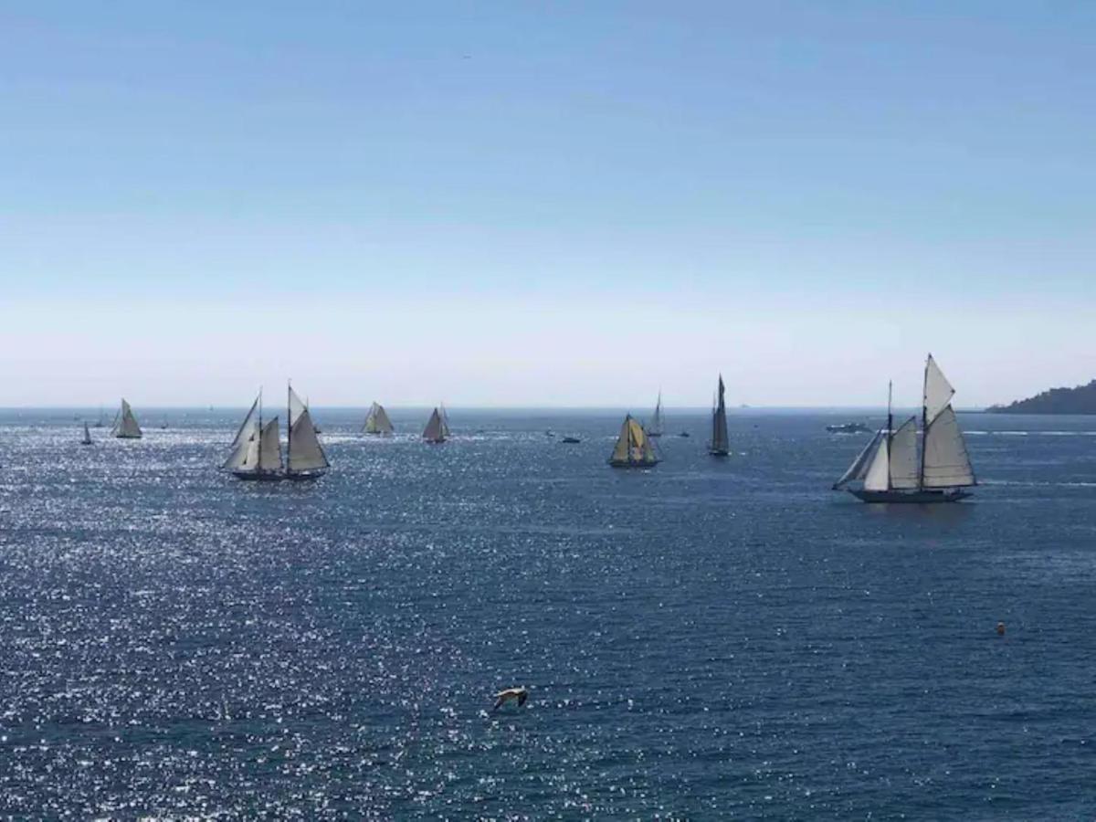La Palme D'azur - Cannes