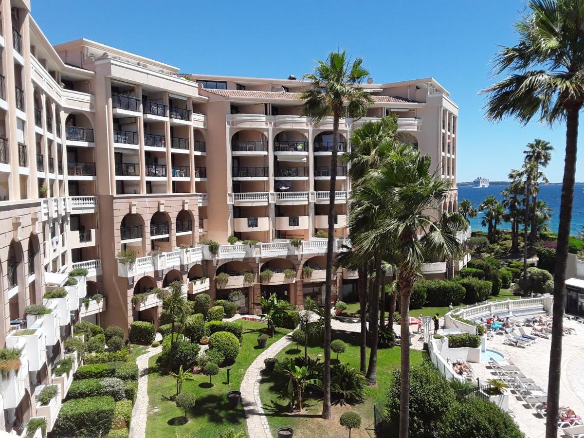 Palm D'azur
