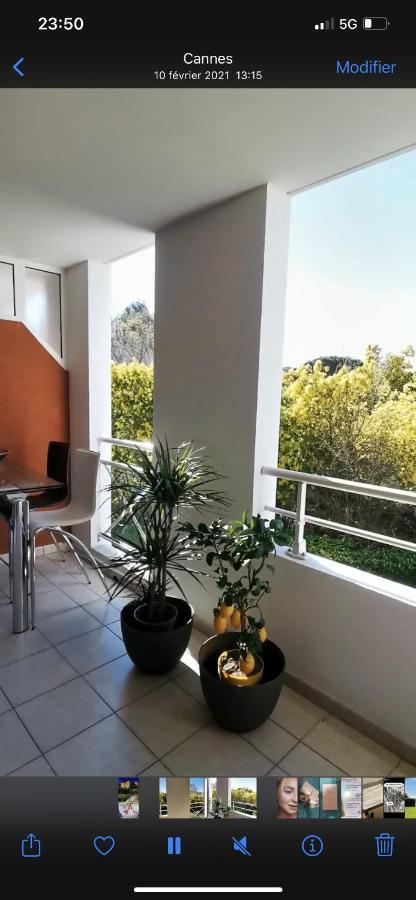 Cannes: Ravisante Rénové Vue Parc Cannes