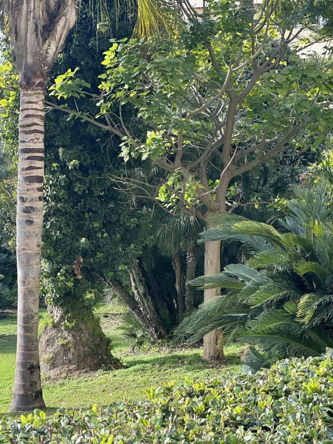 Appartement Situe Dans La Gallia Historique Cannes