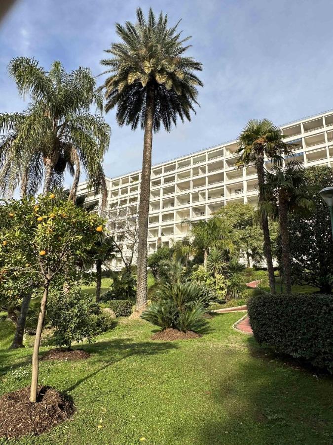 Situe Dans La Gallia Historique Appartement Cannes