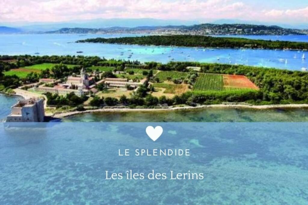 Le Splendide By Connexion *