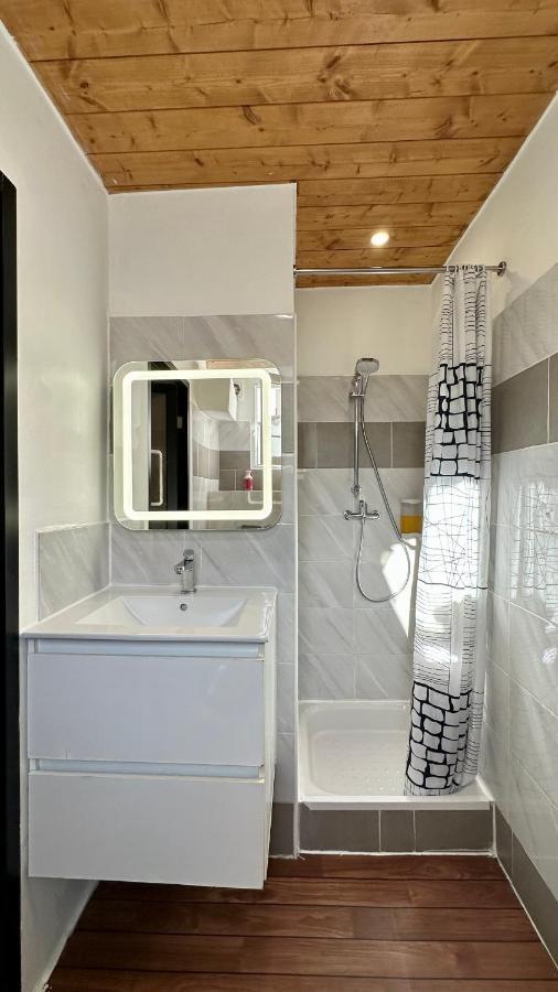 Lion's - 2 Minute Walk From Palais Des Festivals And Beaches Apartment