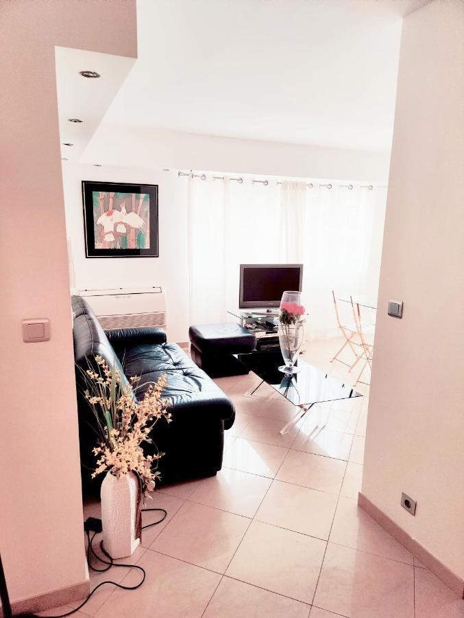 One Bedroom Flat With Terrace, 250m From The And La Croisette, Behind The Martinez Apartment