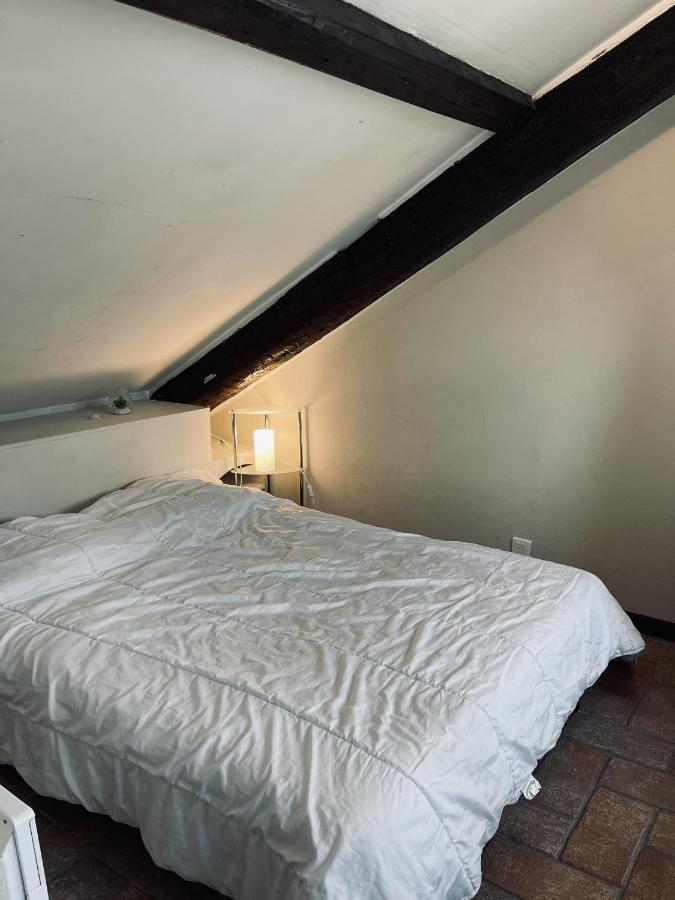 Duplex A Deux Pas Du Port * Cannes