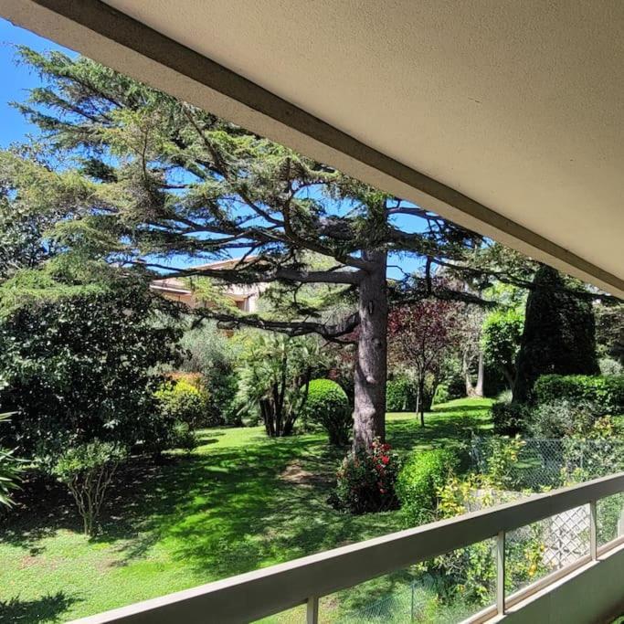 Serie , Beau 2 Pieces 50 M2 Terrasse A 12 Min Plages Et Palais Apartment Cannes