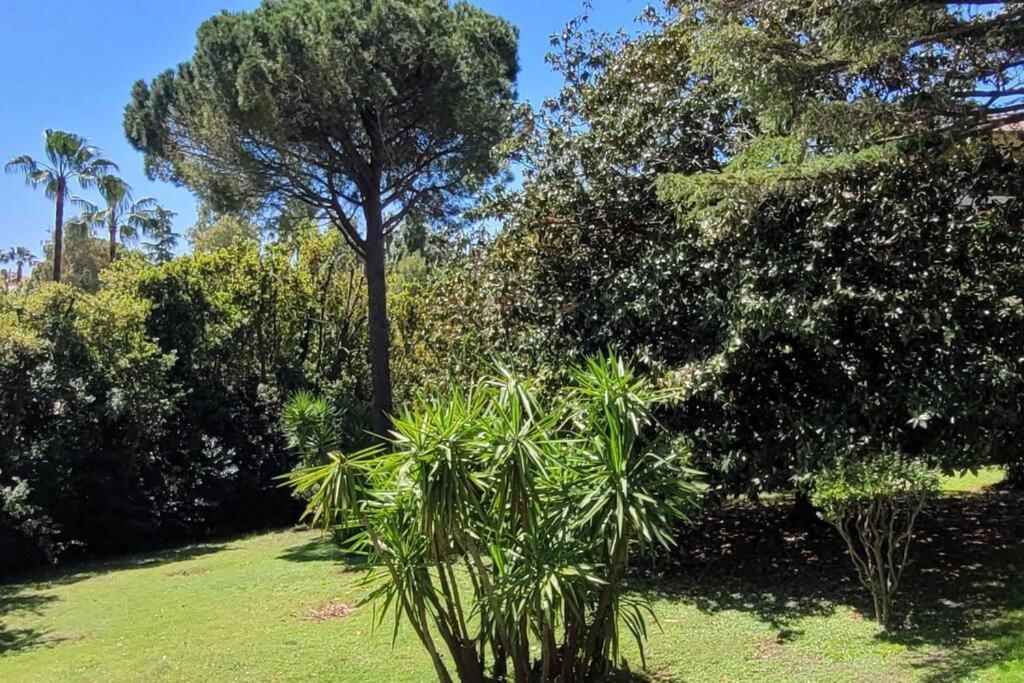 Serie , Beau 2 Pieces 50 M2 Terrasse A 12 Min Plages Et Palais Apartment *