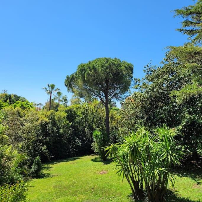 Serie , Beau 2 Pieces 50 M2 Terrasse A 12 Min Plages Et Palais *