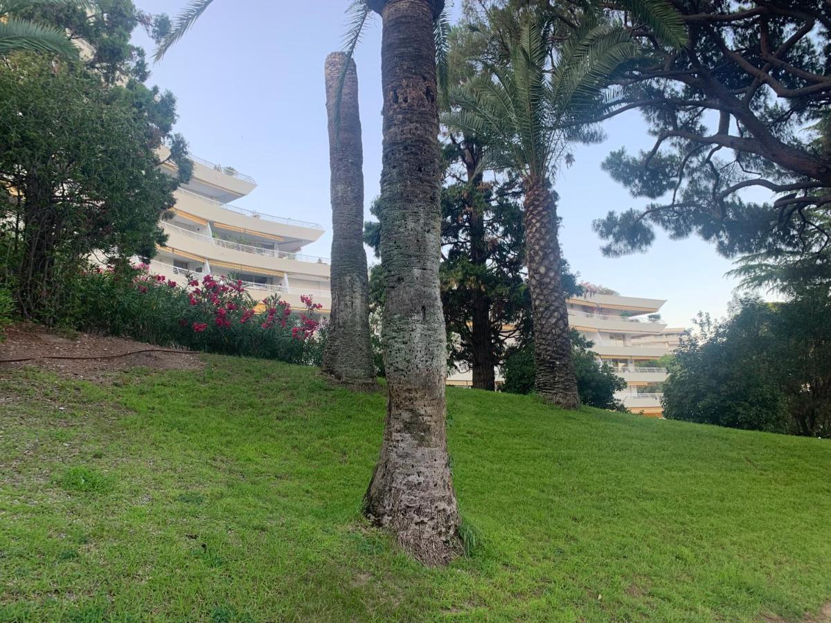 Apartment Vue Cannes
