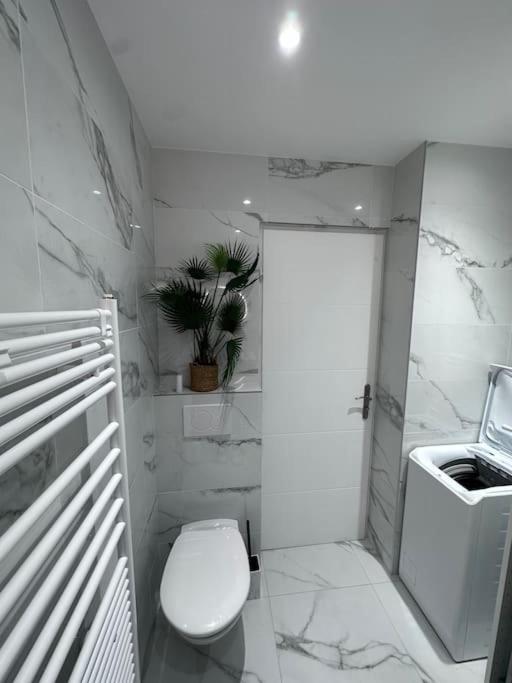 Superbe Avec Balcon Rue D'antibes *