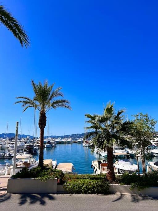 Apartment Palais Des Festivals Croisette Cannes