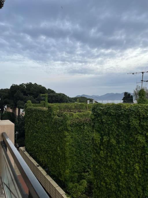 T2 Lumineux A Pied Terrasse Piscine Cannes