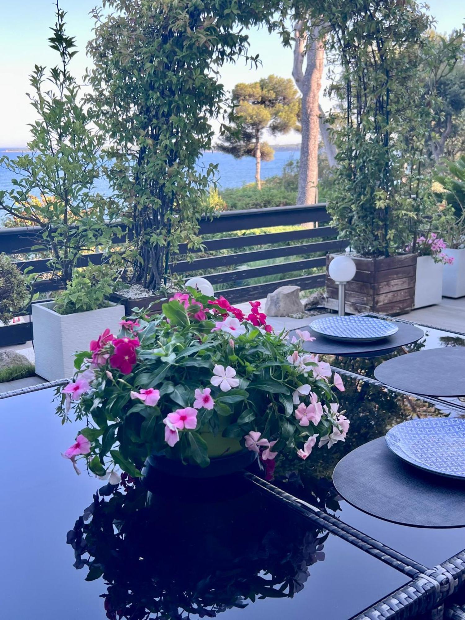 Eden Sea * Cannes