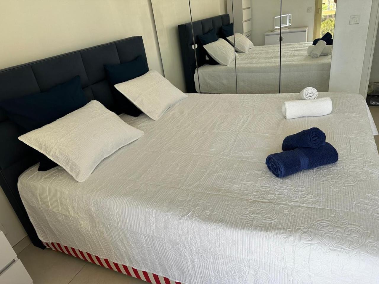 Super Apartment, Parking, Terrace, Lift, Wifi, Palm Beach, Cannes