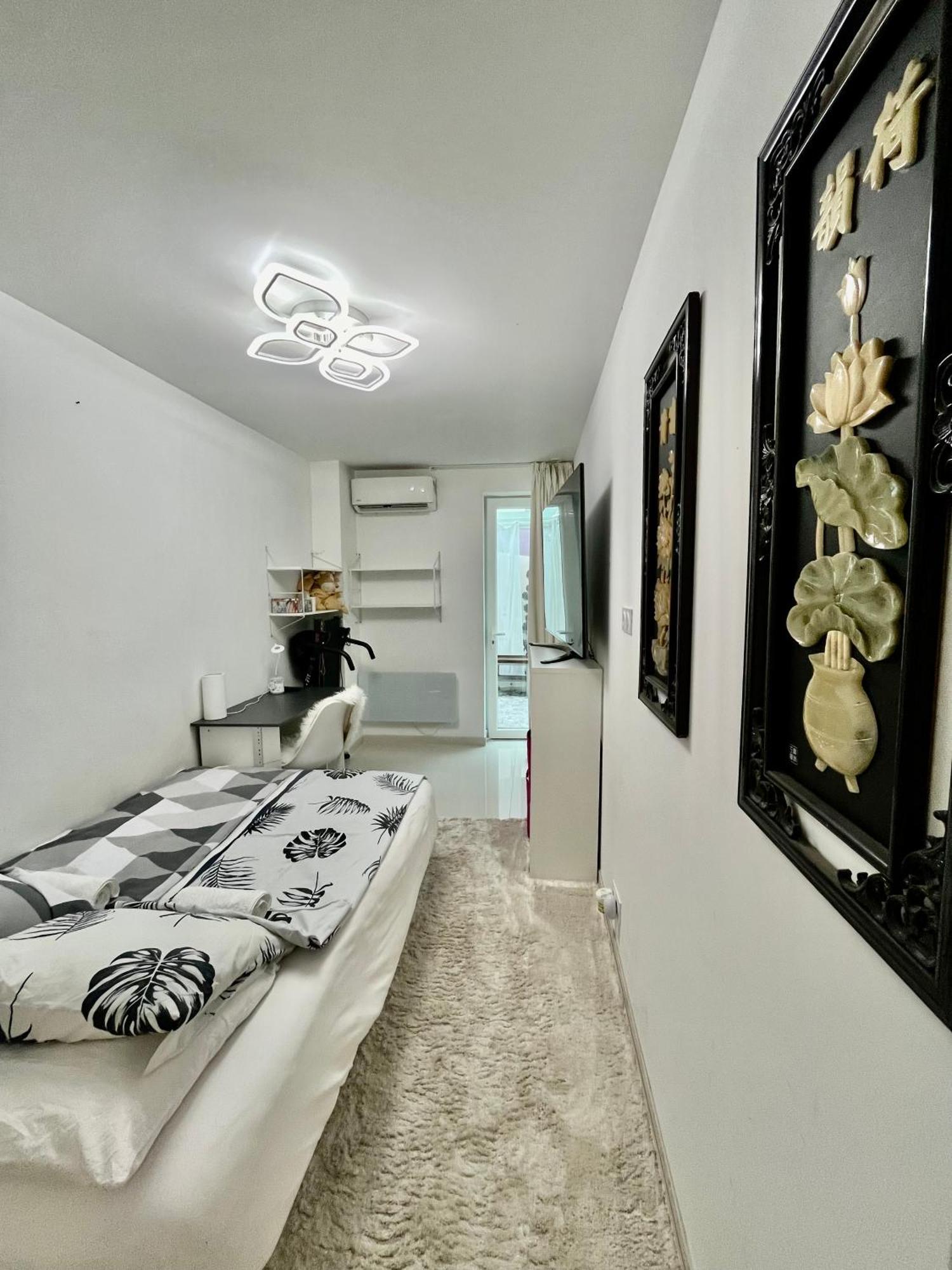 Jardin Sur La Pointe Croisette Luxe En Bord De * Cannes