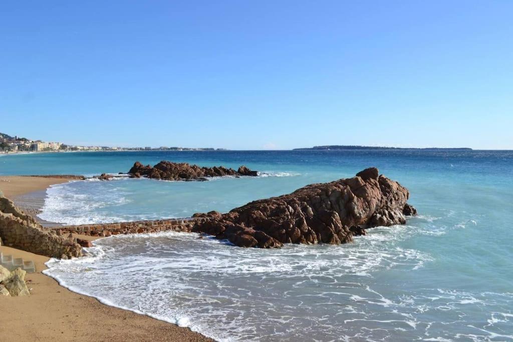 Apartment On Vacay - Votre Havre De Paix A 100 M Des Plages Cannes