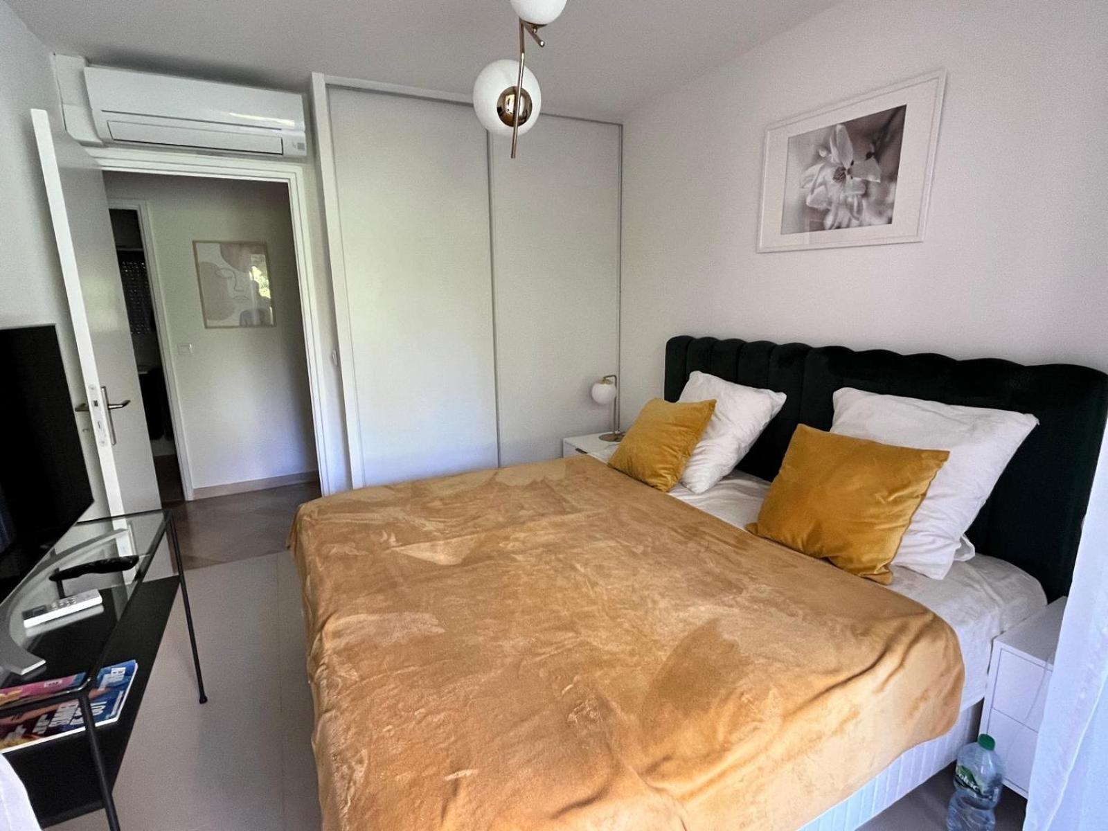 Elegant Close To Croisette And Palais De Festival With Garage Apartment