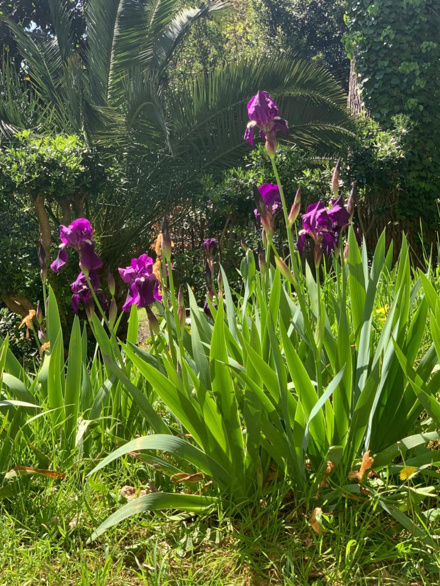 Frühstückspension Valbois Cannes