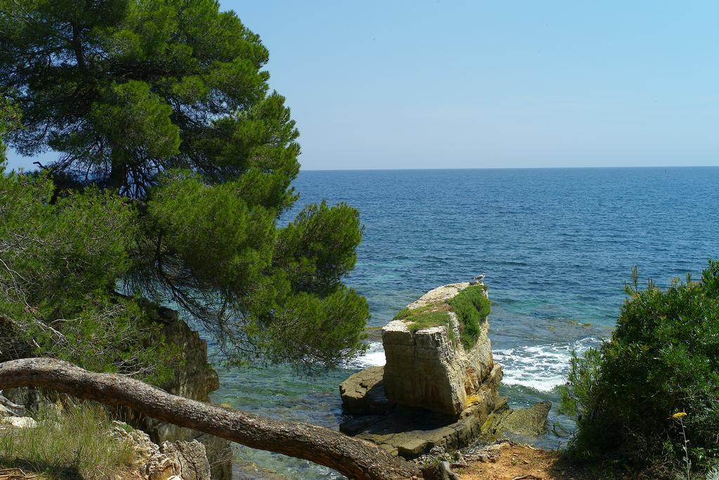 Appartement De Gamme - Centre Cannes