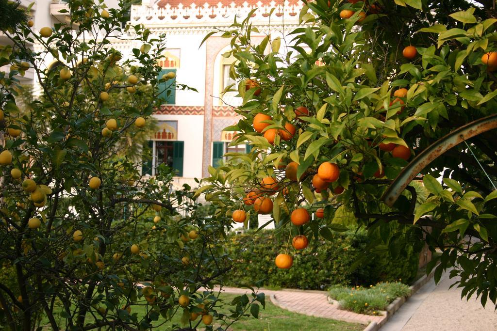 Guest house Belle Rive Cannes