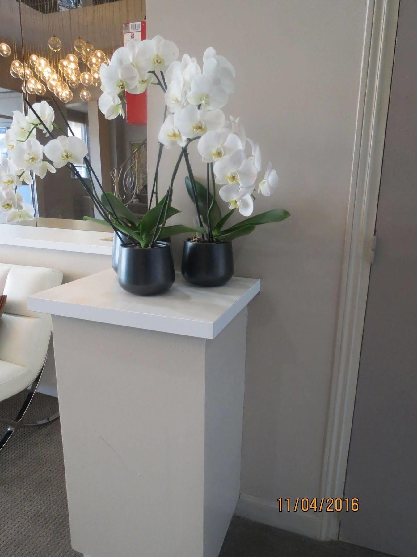 Hotel Ligure Cannes