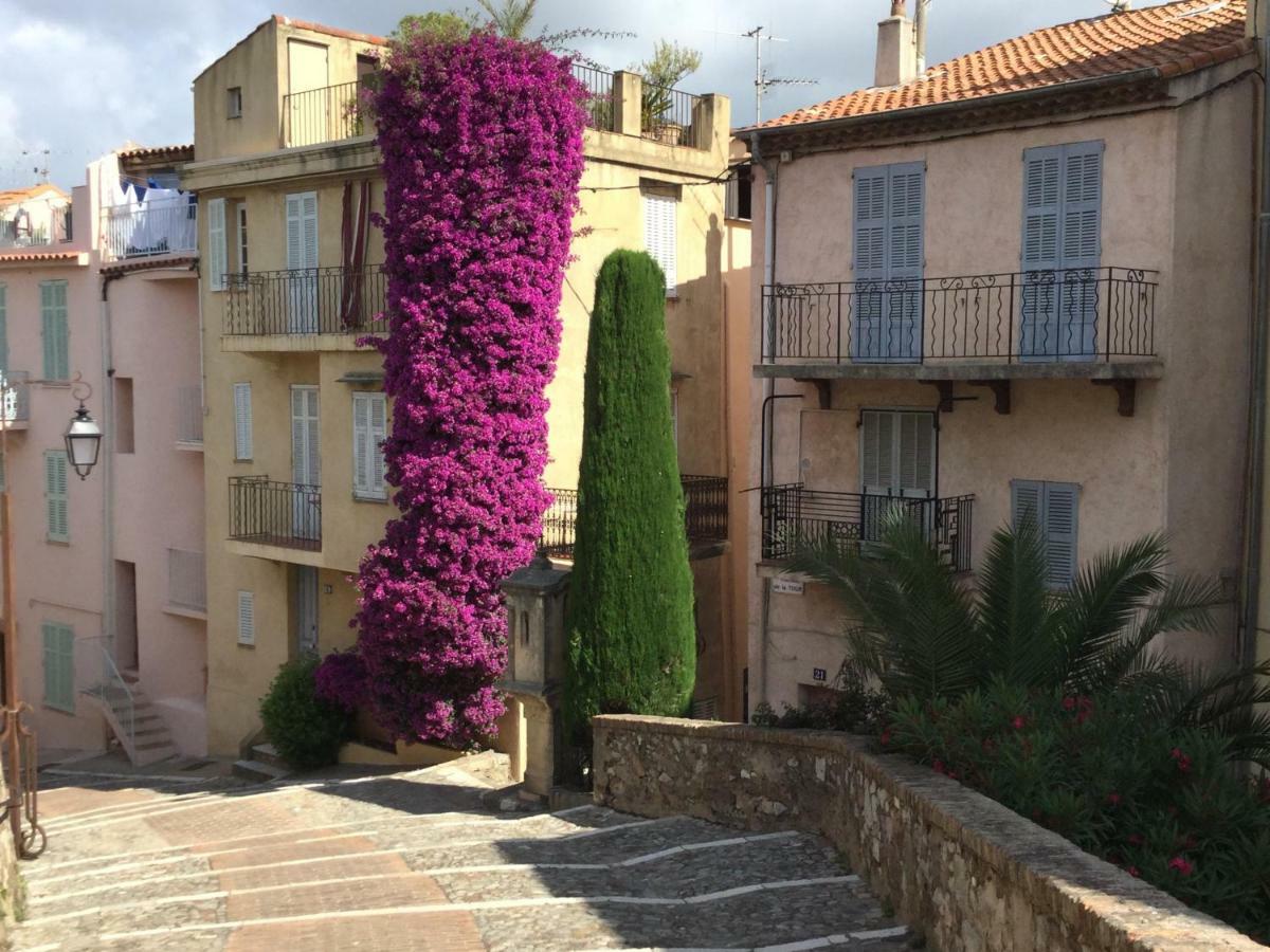 Casanova * Cannes