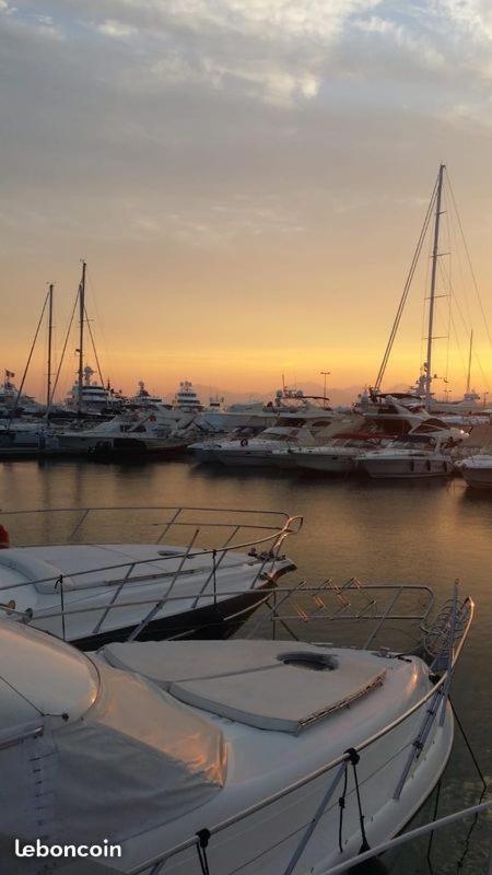 Ferretti 36 ' Bateau A Quai Vieux-port Festival La Croisette Botel Cannes
