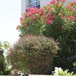 Rooftop Croisette/Alexandre III