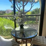 The Sun Paradise Dream