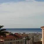Acci Cannes Les Yuccas