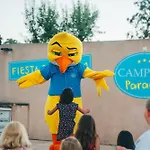 Camping Parc Bellevue