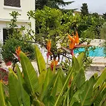 Villa De Charme Centre Cannes Au Calme